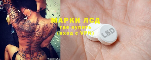 сатива Горняк