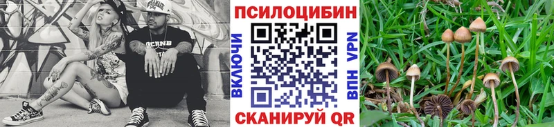 как найти наркотики  Дятьково  Галлюциногенные грибы Cubensis 